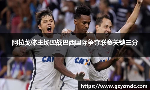 阿拉戈体主场迎战巴西国际争夺联赛关键三分